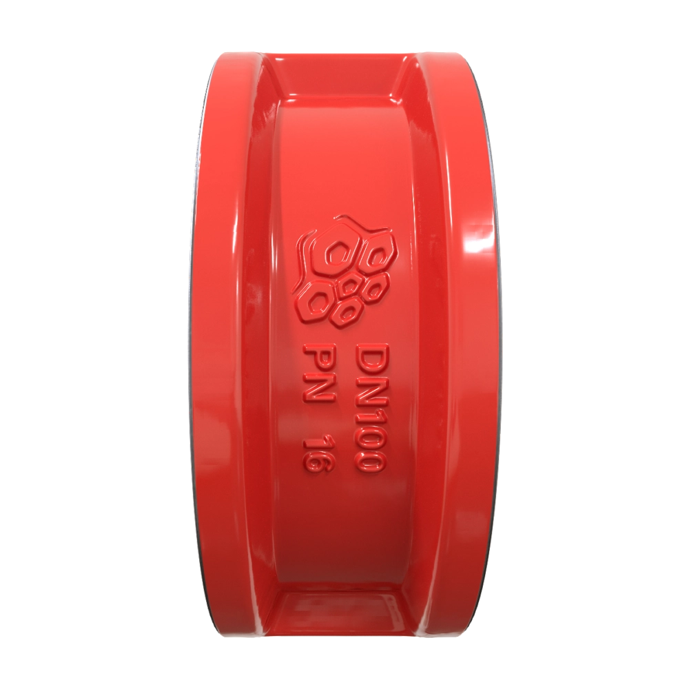klapan-obratnyj-du-80-ru-16-rushwork-43981