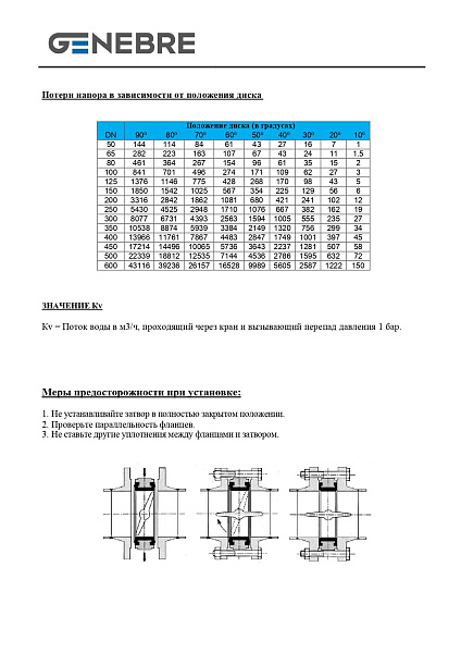 zatvor-diskovyy-povorotnyy-genebre-2103-chugunnyy-m-f_photo-9