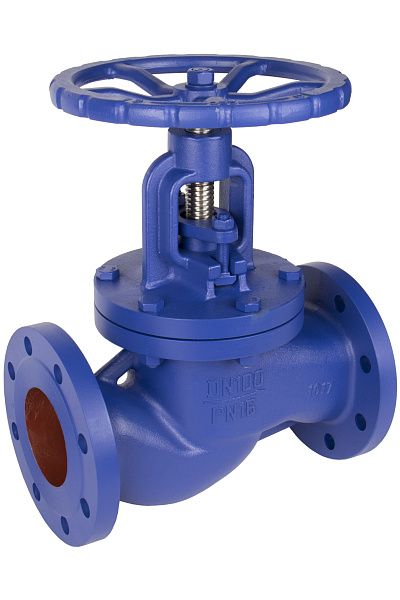 ventil-zapornyy-rushwork-315-chugunnyy-flantsevyy-pn16_photo-1