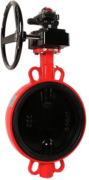 zatvor-diskovyy-povorotnyy-rashvork-200-m-f-korpus-chugun-gg25-disk-chugun-ggg40-redutork-s-komplekt