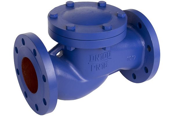 klapan-obratnyy-podemnyy-rashvork-487-chugunnyy-flantsevyy-pn16_photo-0