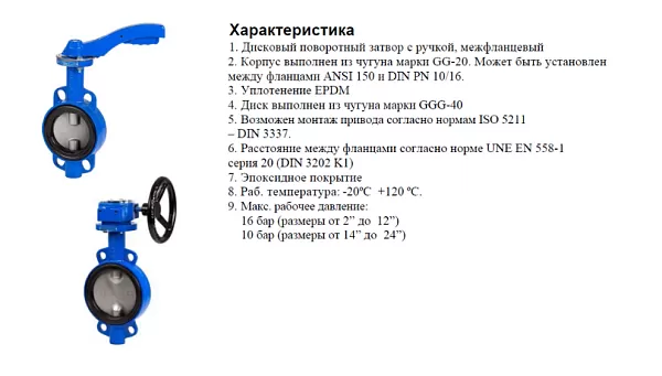 zatvor-diskovyy-povorotnyy-genebre-2103-chugunnyy-m-f_photo-1